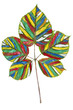 Rainbow colored leaf