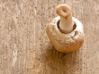 Champignon auf dem Kopf