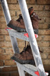 Photo: Stiefel auf der Leiter Stiefel auf der Leiter