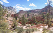 Zion Color Palette