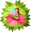 fairy