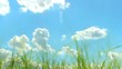 Grass