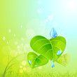 Mother nature's green leaves,mist and dew
