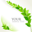 Fresh green leaves decorative background