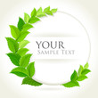 Fresh green decorative background