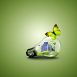 Foto: Electric light bulb and a plant inside it Electric light bulb and a plant inside it