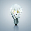 Electric light bulb and flower inside it