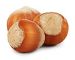Nuts filberts