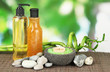 Photo: Still life with green bamboo plant and stones, Still life with green bamboo plant and stones,