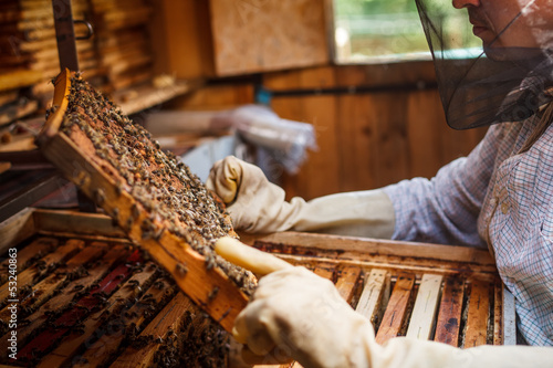 Photo: Beekeeper Beekeeper