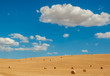 typical tuscan landscape