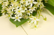 Beautiful mountain daffodils in  color vase,