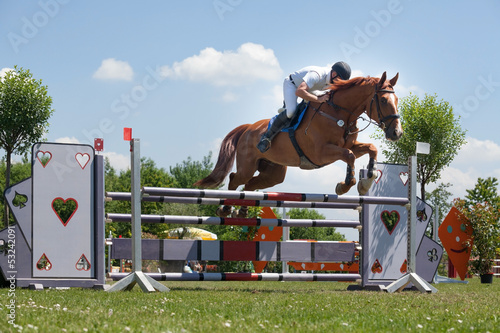Photo: springreiten sportpferde springreiten sportpferde