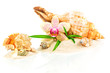 Spa concept with seashells, bamboo and orchid