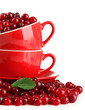 Photo: Ripe red cranberries in cups, isolated on white. Ripe red cranberries in cups, isolated on white.