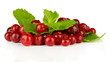 Photo: Ripe red cranberries, isolated on white. Ripe red cranberries, isolated on white.
