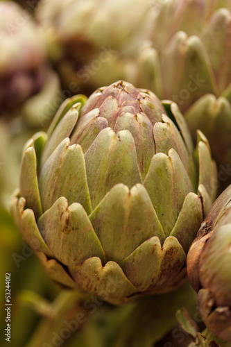Photo: Artichoke Artichoke