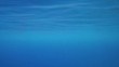 Video: blue deep sea or ocean underwater background blue deep sea or ocean underwater background