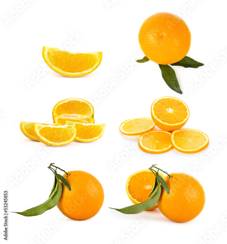 Photo: Set of orange fruits Set of orange fruits