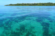 Transparent and calm waters