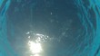 Young boy swimming underwater in sea or pool