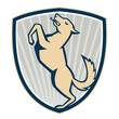 Prancing Dog Side Shield