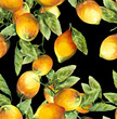 Lemons Seamless Pattern