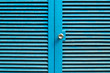 Blue door