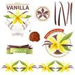Vector: vanilla vanilla