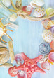 Foto: sea shells and compass sea shells and compass