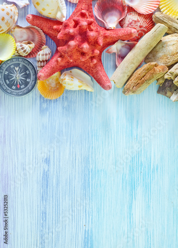 Photo: sea shells and compass sea shells and compass
