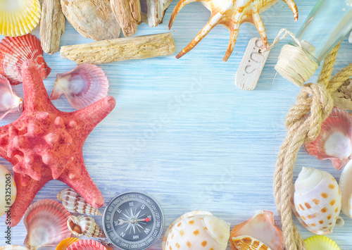Photo: sea shells and compass sea shells and compass