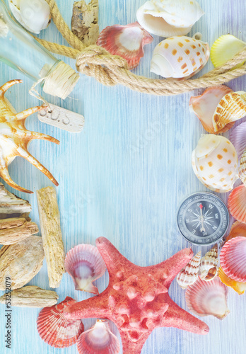 Photo: sea shells and compass sea shells and compass
