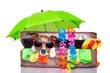 Photo: summer holiday dog summer holiday dog