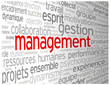 Nuage de Tags "MANAGEMENT" (travail d'équipe gestion manager)