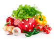fresh vegetables with green herbs in watering can