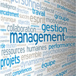 Nuage de Tags "MANAGEMENT" (gestion ressources humaines équipe)