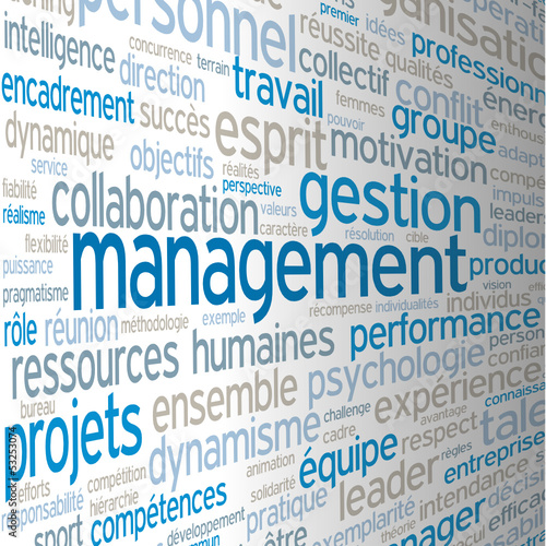 Vector: Nuage de Tags "MANAGEMENT" (gestion ressources humaines équipe) Nuage de Tags "MANAGEMENT" (gestion ressources humaines équipe)