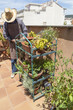 Roof gardening