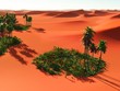 Beautiful natural background -African oasis
