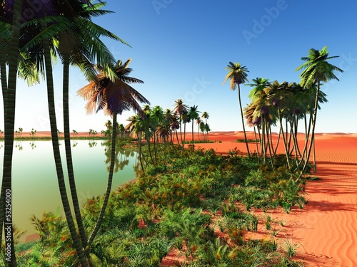 Illustration: African oasis African oasis