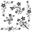 Vektor: Blumen, Blätter, Ranken, vector set black Blumen, Blätter, Ranken, vector set black