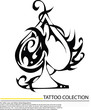 Celtic knots, braids and patterns  vector