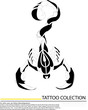 Tattoo in the form of the stylized scorpion
