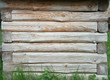 wooden background with green grass