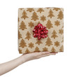 Young woman holding a present