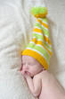 Photo: dwarf dwarf