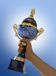 Coppa del campine