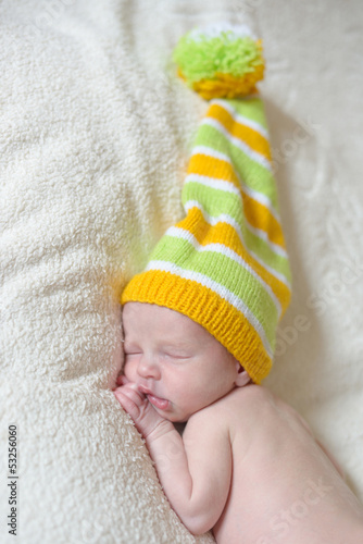 Photo: dwarf dwarf