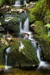 Green Waterfall